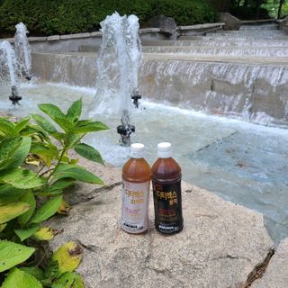 이도 발효한차 디티엑스 음료500ml 2종set 총 40개입블랙 20개입+화이트 20개입 — 5점을 준 리뷰어가 2021년 7월 올린 사용 사진