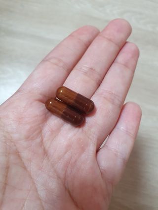 프리마인 홍삼의 강력한 에너지, 이제는 흡수율을 높인 최첨단 캡슐로 간편하게 초고속 충전하세요. — 5점을 준 리뷰어가 2022년 8월 올린 사용 사진