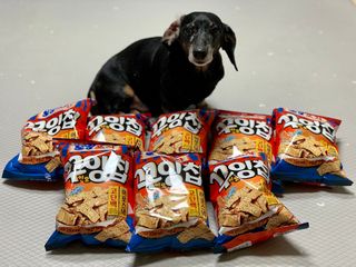 콩이누나님이 올린 리뷰 사진 1