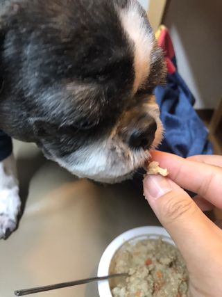 쭈또맘님이 올린 리뷰 사진 4