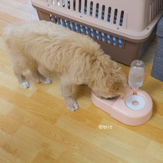 헬로수경님이 올린 리뷰 사진 3