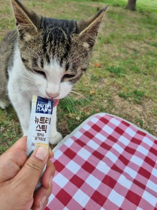 진쓰님이 올린 리뷰 사진 4