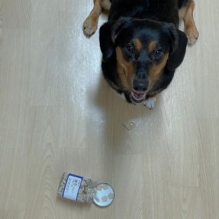 고응룡님이 올린 리뷰 사진 1