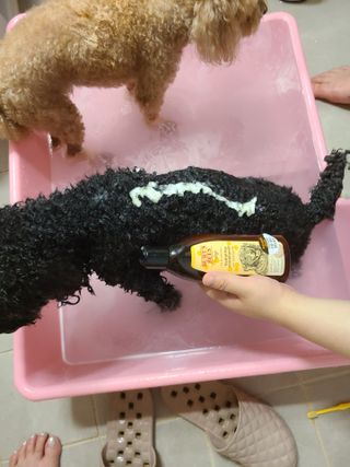 잠주부옥님이 올린 리뷰 사진 3
