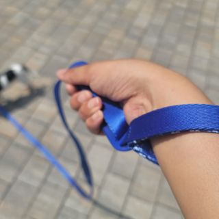 베이컨박스 [BACON] 고아웃클럽 이지그립 리드줄, 목줄 세트-BLUE — 3점을 준 리뷰어가 2021년 7월 올린 사용 사진