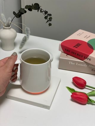 서라님이 올린 리뷰 사진 1