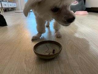 ZiunYang님이 올린 리뷰 사진 1