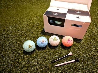더위치골프(thewitchgolf) 프리미엄 골프 공 더위치골프 매트 펄 컬러의 3피스볼 더위치골프 골프볼 선물세트 — 5점을 준 리뷰어가 2023년 9월 올린 사용 사진