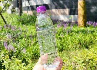 몽베스트 [MONTBEST]위드어스 500mL 20병 — 5점을 준 리뷰어가 2022년 8월 올린 사용 사진