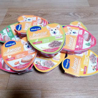 비타크래프트 조에시 하트캔 85g 강아지 습식캔 10캔 — 5점을 준 리뷰어가 2021년 9월 올린 사용 사진