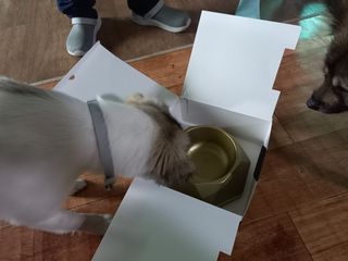 루비셀러님이 올린 리뷰 사진 1