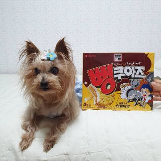 솜희님이 올린 리뷰 사진 3