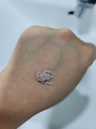 양소망님이 올린 리뷰 사진 2