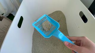 쇼니님이 올린 리뷰 사진 4