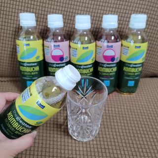 더그레잇티 콤부차 [매일유업] 더그레잇티 44kcal 콤부차 300ml *12개입 (오리지널 6개+베리리치 6개) — 5점을 준 리뷰어가 2023년 7월 올린 사용 사진