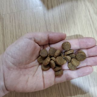 영님이 올린 리뷰 사진 3
