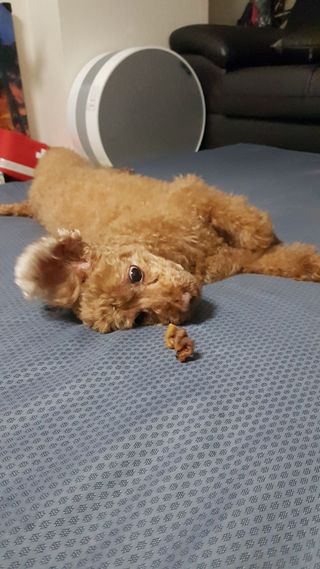 다둥맘님이 올린 리뷰 사진 3