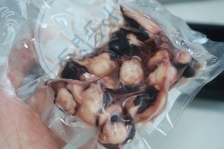 닉네임없음님이 올린 리뷰 사진 1