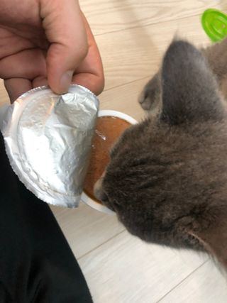 이승진님이 올린 리뷰 사진 4