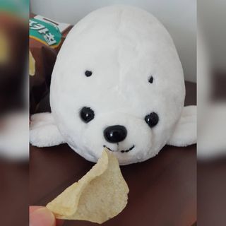 물끼님이 올린 리뷰 사진 3