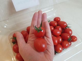 레드닥터 대추방울토마토 + 본생강 망고맛 스틱형 젤리 — 5점을 준 리뷰어가 2022년 12월 올린 사용 사진