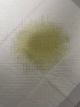 뱅지님이 올린 리뷰 사진 3