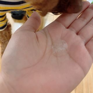 버츠비 퍼피투인원 티어리스 샴푸 앤 컨디셔너 — 5점을 준 리뷰어가 2021년 6월 올린 사용 사진