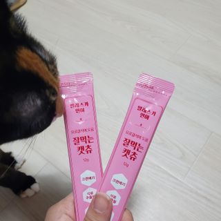 페페로니 잘 먹는 캣츄 - 알래스카 연어 24개입 — 4.5점을 준 리뷰어가 2021년 7월 올린 사용 사진