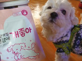 My Pet Care 천연단백질 관절건강에 개좋아 — 5점을 준 리뷰어가 2021년 2월 올린 사용 사진