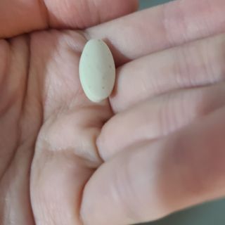 피치피치님이 올린 리뷰 사진 4