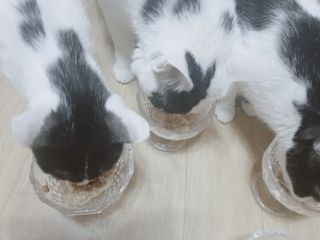 쑈쮸님님이 올린 리뷰 사진 3