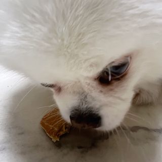 오랑이님이 올린 리뷰 사진 4