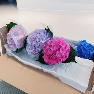 꼼꼼한올이님이 올린 리뷰 사진 1