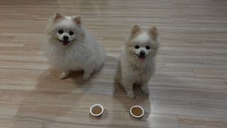 EunJin님이 올린 리뷰 사진 4