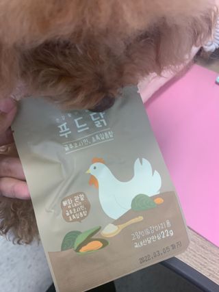 도그퓨어 푸드닭 강아지 닭고기 통살 애견간식 오리지널/차전자피/초록입홍합 — 5점을 준 리뷰어가 2021년 10월 올린 사용 사진