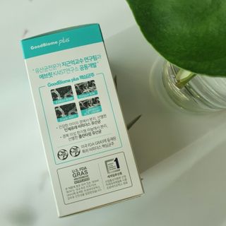 프리마인 유산균 국가지정연구소 선정, 살아있는 생유산균 200억 마리의 힘. 유산균n굿바이옴플러스 — 5점을 준 리뷰어가 2021년 12월 올린 사용 사진