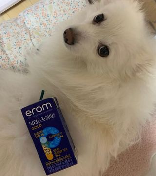 이롬 erom 닥터스 프로틴 골드 — 5점을 준 리뷰어가 2021년 4월 올린 사용 사진