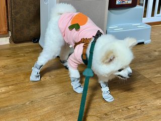 borana님이 올린 리뷰 사진 1