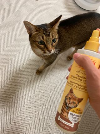 jiyakk님이 올린 리뷰 사진 2
