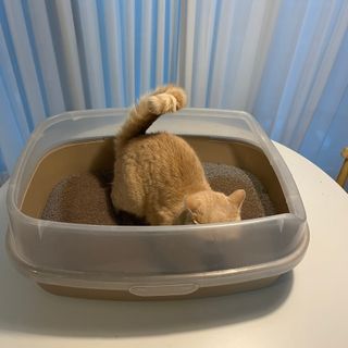 다희님이 올린 리뷰 사진 2