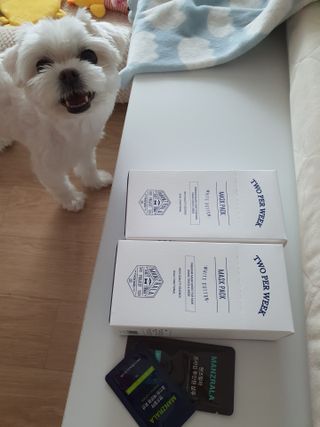 뽀오오옹님이 올린 리뷰 사진 2