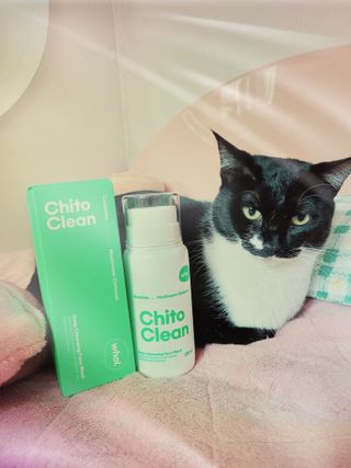whol 키토클린 200ml - 항균항바이러스 강아지 눈 코 입 귀 세정탈취 고양이 턱드름제거 무향 워터리스 대용량 — 4.5점을 준 리뷰어가 2023년 2월 올린 사용 사진