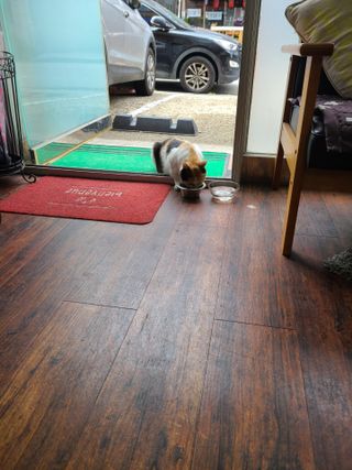 지선씨님이 올린 리뷰 사진 1