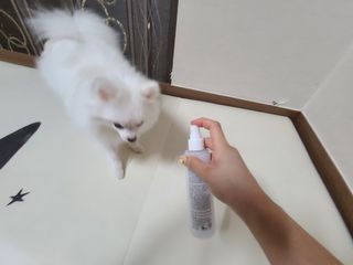 튼튼보이맘님이 올린 리뷰 사진 2