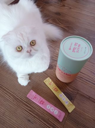 페페로니 잘 먹는 캣츄 - 무항생제 닭고기 12개 + 알래스카 연어 12개 — 5점을 준 리뷰어가 2021년 7월 올린 사용 사진