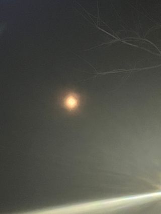 나우[포춘에이드] 내 곁의 포춘 메이커 포춘에이드 운세 🍀 매일 무료 운세 업데이트 + 할인쿠폰 제공 — 2.5점을 준 리뷰어가 2024년 7월 올린 사용 사진
