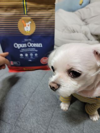 두부님이 올린 리뷰 사진 3