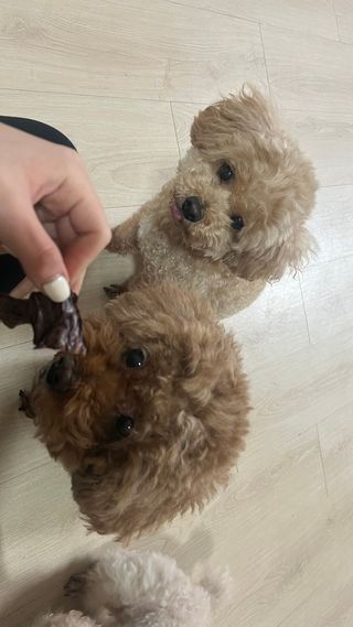 숙블리님이 올린 리뷰 사진 3