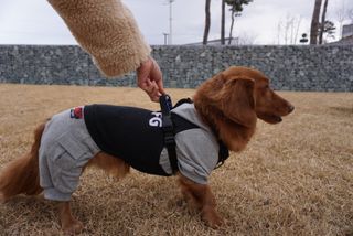 5_daks님이 올린 리뷰 사진 1