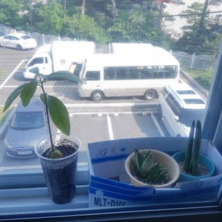 kktkim님이 올린 리뷰 사진 2